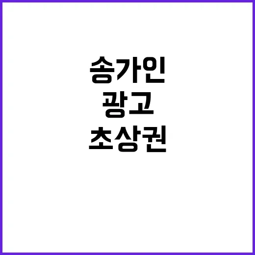 송가인 초상권 SNS 광고에 무관용 법적 대응!