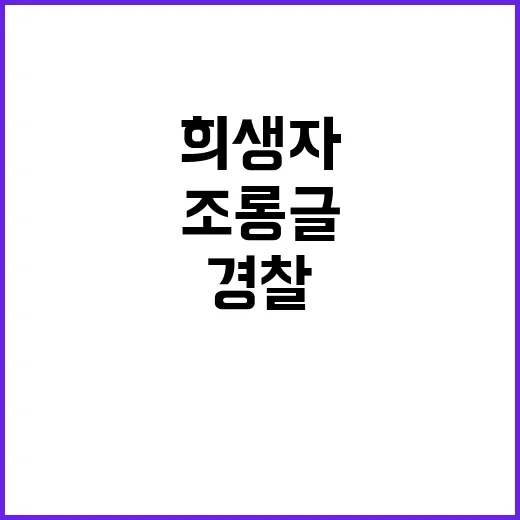 “조롱글 내사 착수…