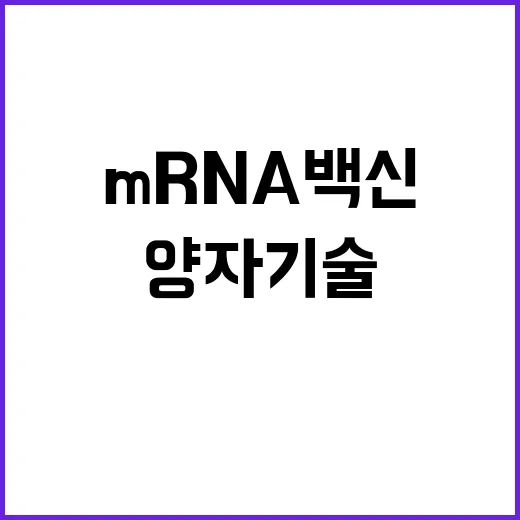 mRNA 백신 양자…