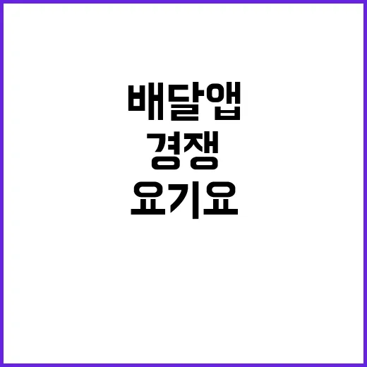 요기요 첫 희망퇴직 배달앱 경쟁의 새로운 전환점!