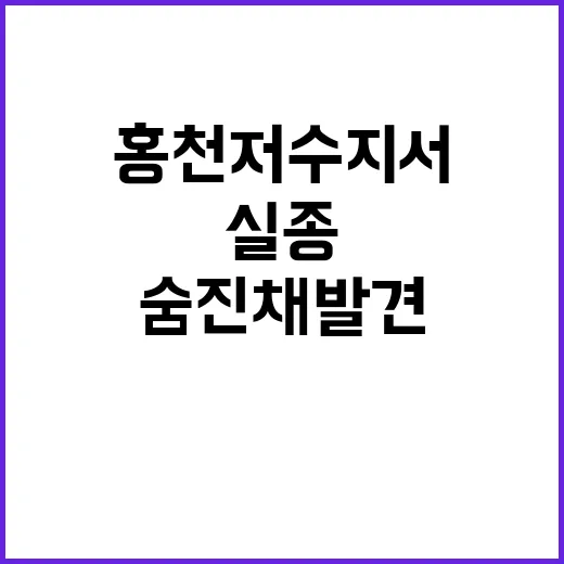 실종 형제 홍천 저…