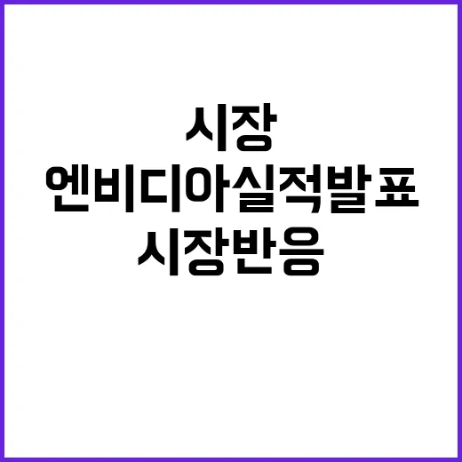 엔비디아 실적 발표 시장 반응 제대로 확인!