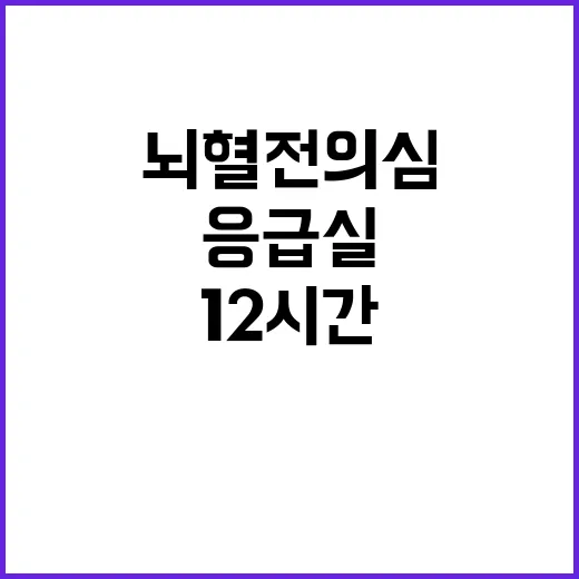 뇌혈전 의심 12시간 응급실 대기 현실!