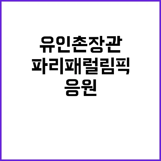 파리패럴림픽 대한민…