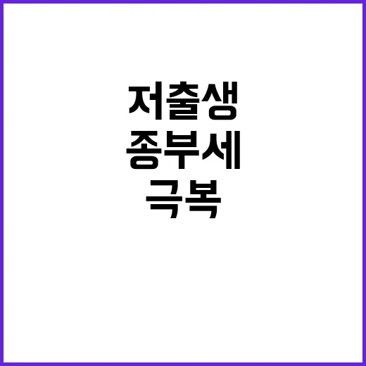 종부세 1조 원 저출생 극복 기금으로 사용된다