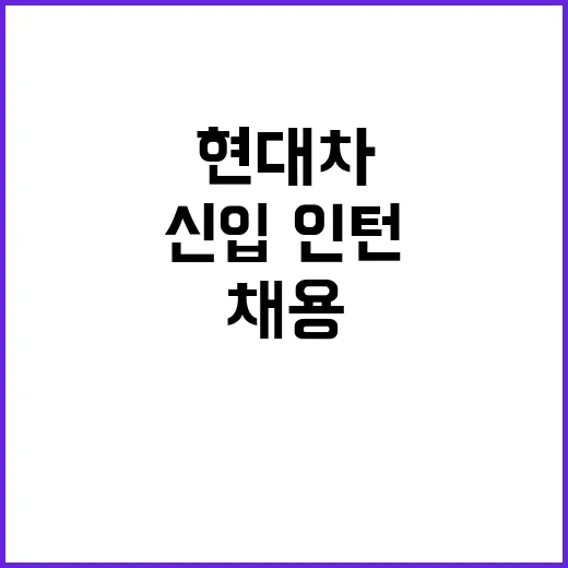 현대차 채용 36개 직무에서 신입·인턴 모집!