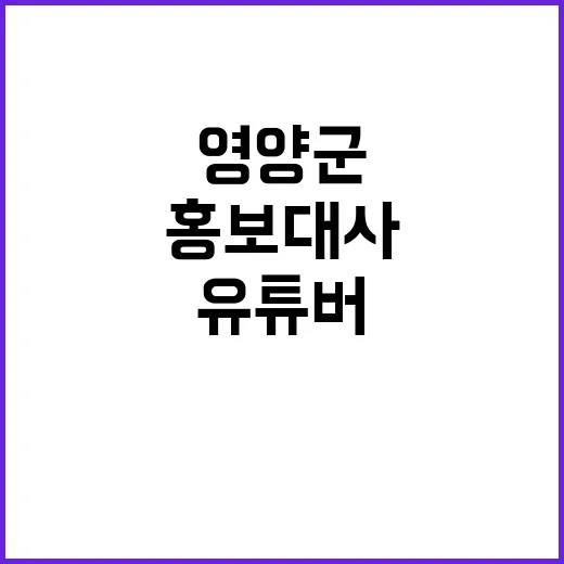 영양군 홍보대사 전례없는 유튜버 콜라보 기대!