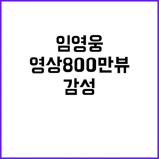 폴라로이드 임영웅의 감성 영상 800만뷰 기록!