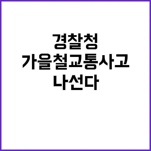 가을철 교통사고 충…