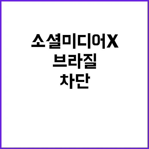 소셜미디어 X 브라질 대법원 차단 명령 사실!