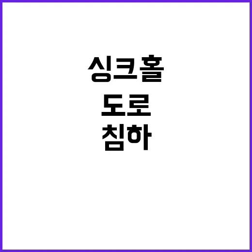 싱크홀 발견 도로 …