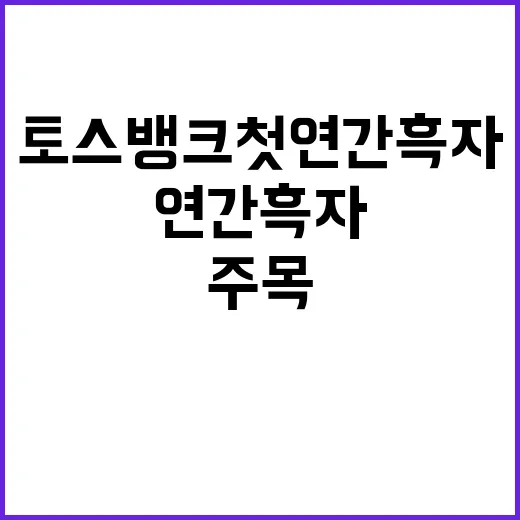 토스뱅크 첫 연간 …