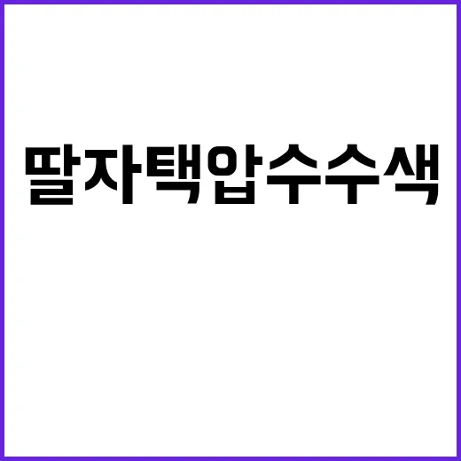 앞마당 수사 문전성…