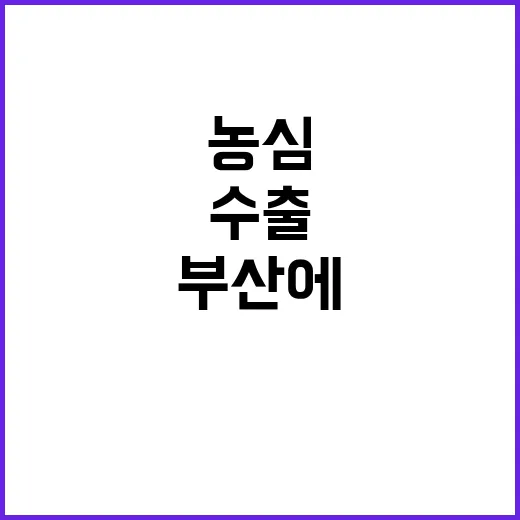 농심 부산에 수출 전용 공장 설립 소식!