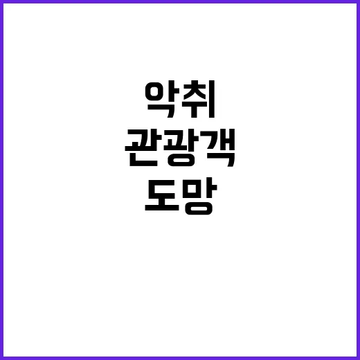 악취 관광객 100…