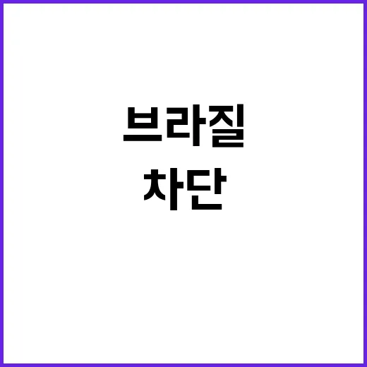 브라질 SNS 엑스…