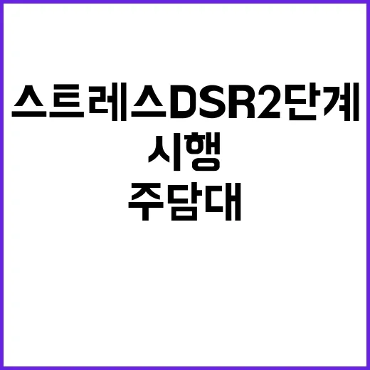 주담대 증가세 스트레스 DSR 2단계 규제 시행!