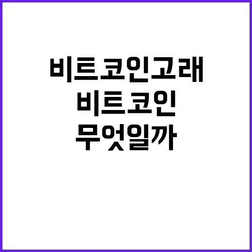 비트코인 고래의 처…