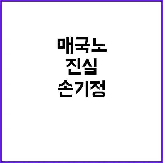 손기정의 진실 매국…