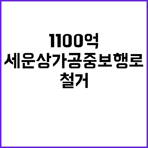 세운상가 공중보행로 1100억 들여 철거! 이유?