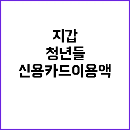 신용카드 이용액 감소 청년들 지갑 닫다!