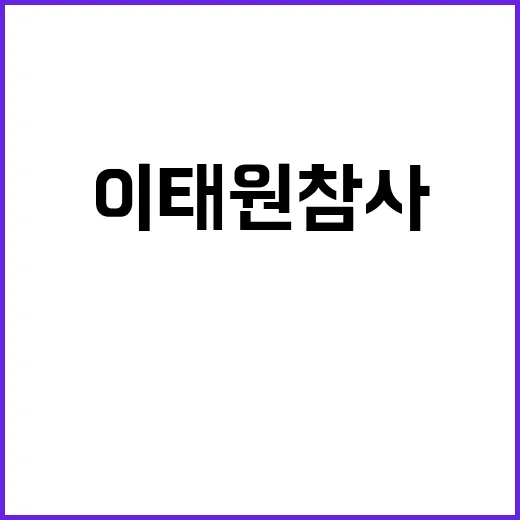 이태원 참사 전 경…