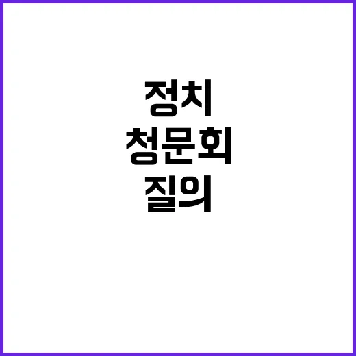 청문회 정치선동 아…