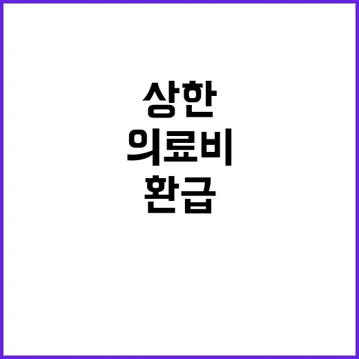 의료비 환급 상한 …