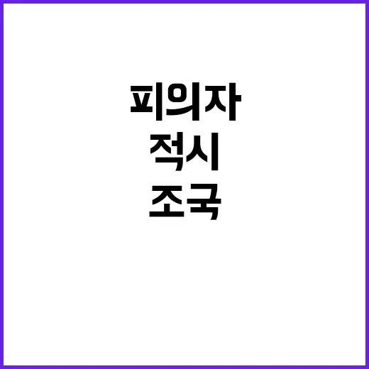 조국 기가 막혀…피의자 적시 논란의 진실은?