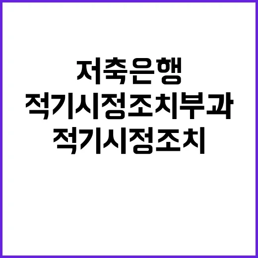 세수상황 기재부의 …