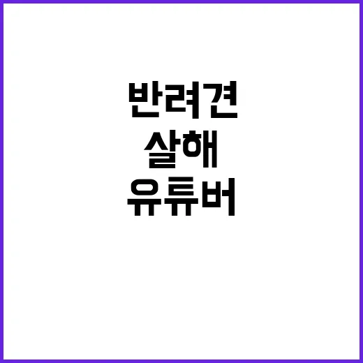 유명 유튜버 반려견…