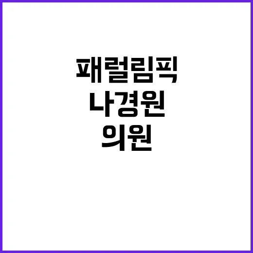 패럴림픽 배드민턴 …