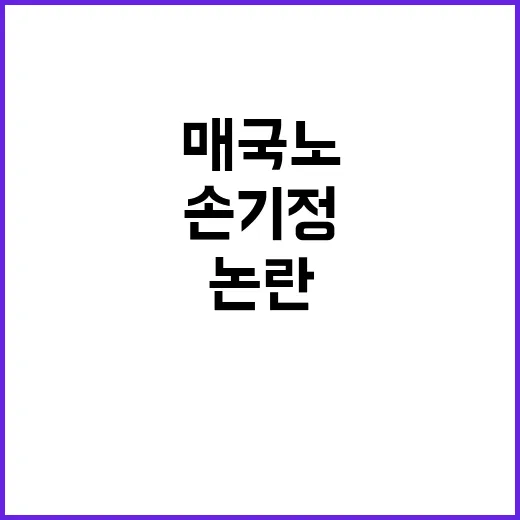 손기정 매국노 논란…