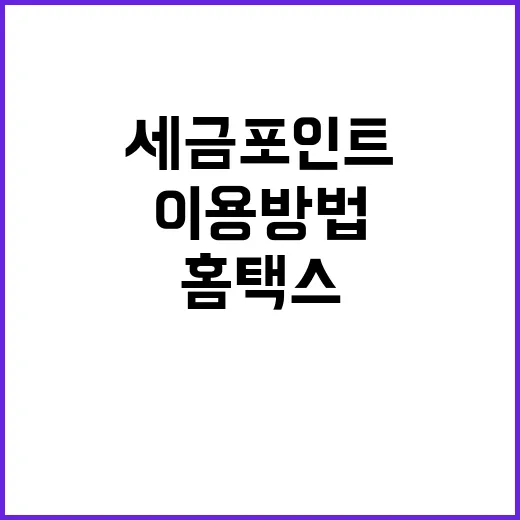 세금포인트 홈택스와 손택스 이용 방법 공개!