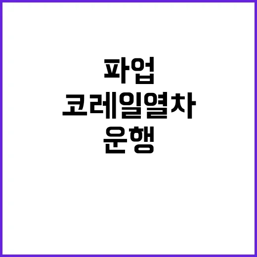 경기도 시내버스 파…