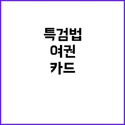 배동현 정소영 결승전 응원으로 감동 선사!