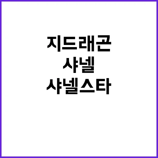 샤넬 스타들 한자리…