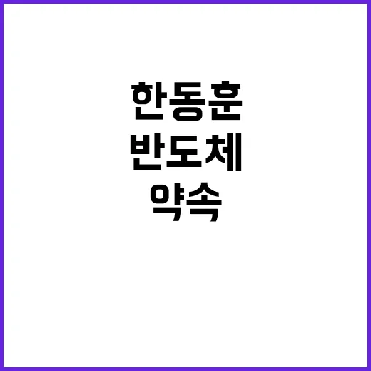 반도체 콤플렉스 한…