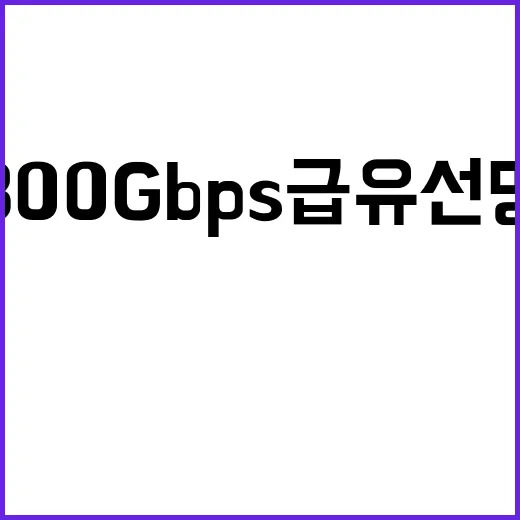 800Gbps급 유선망 서울~부산 연결의 새로운 기록!