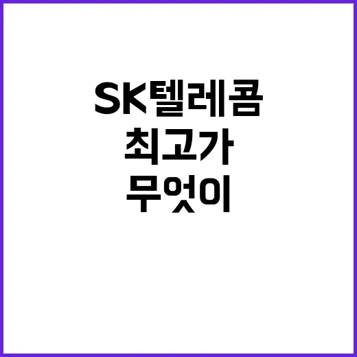 SK텔레콤 최고가 기록! 무엇이 도왔나?