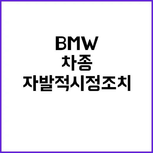 BMW 차종 자발적 시정조치 7만8천여 대 영향!