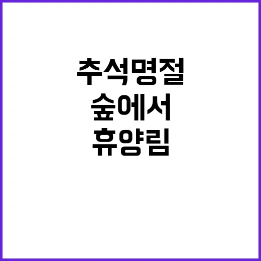 추석 명절 숲에서 힐링하는 118곳 자연휴양림!