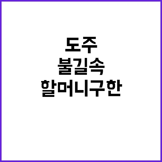 할머니 구한 손자 …