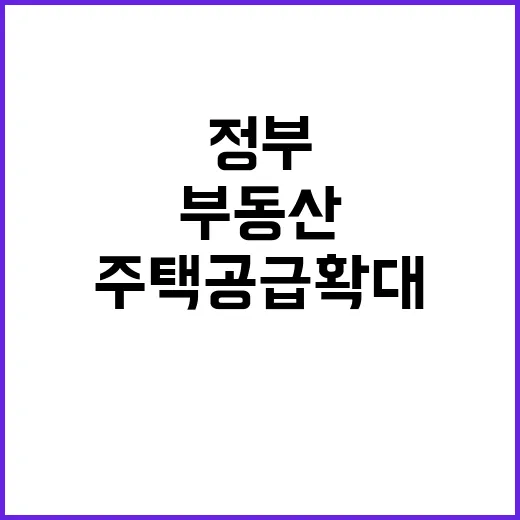 부동산 정부 협력으…