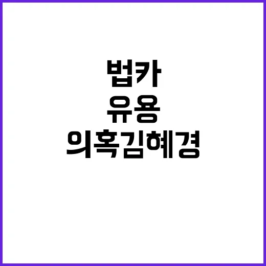 법카 유용 의혹 김…