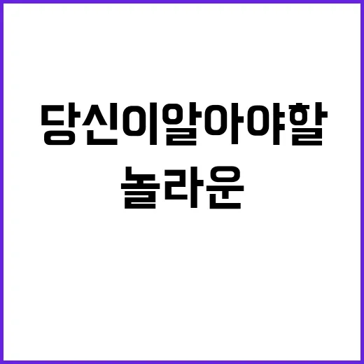 AI 앱의 놀라운 기능 당신이 알아야 할 비밀!