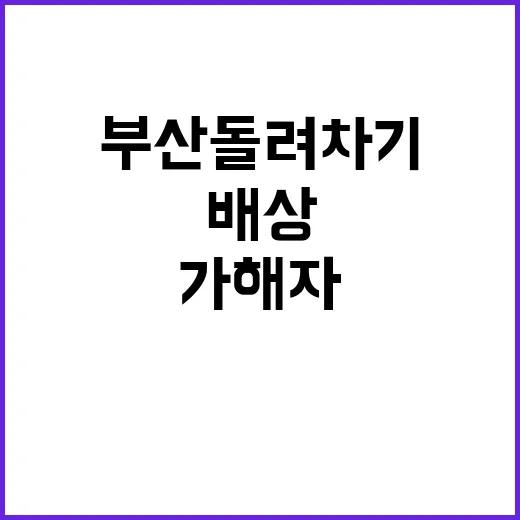 부산 돌려차기 가해…