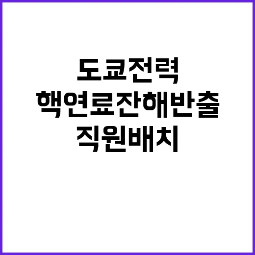 도쿄전력 핵연료잔해…