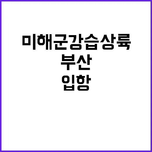 미 해군 강습상륙함 부산에서 동시 입항 소식!