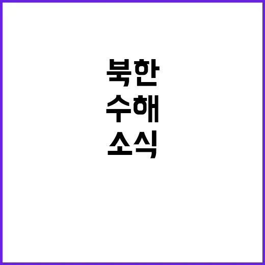 수해 복구 소식 북한 국경절에 애민주의 포착!